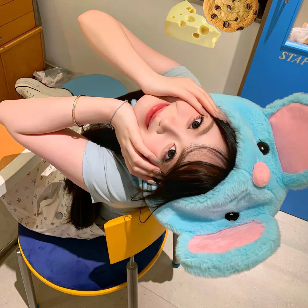 新宝贝智多星：超能99狗
